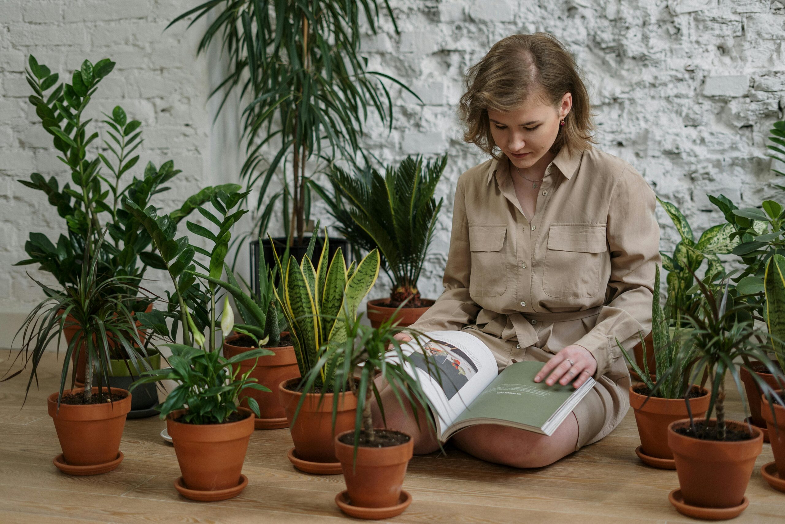 Indoor gardening