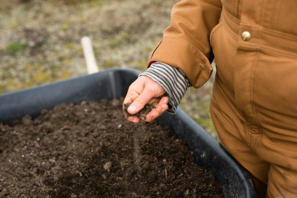 check garden soil