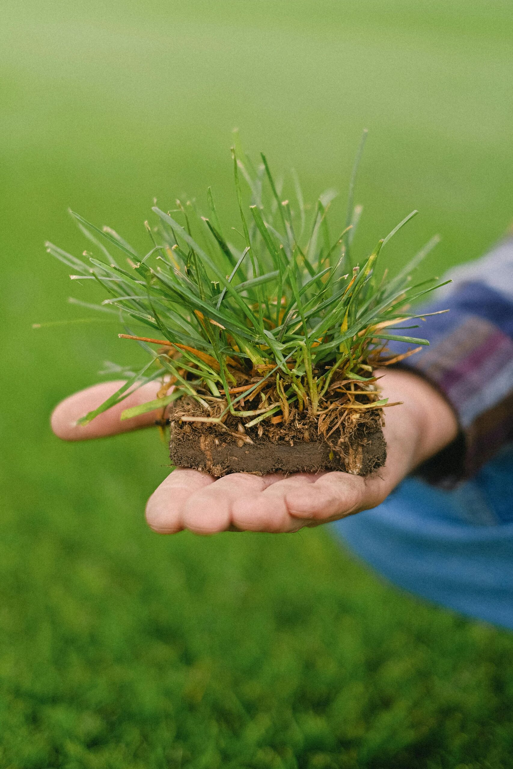 Garden Soil