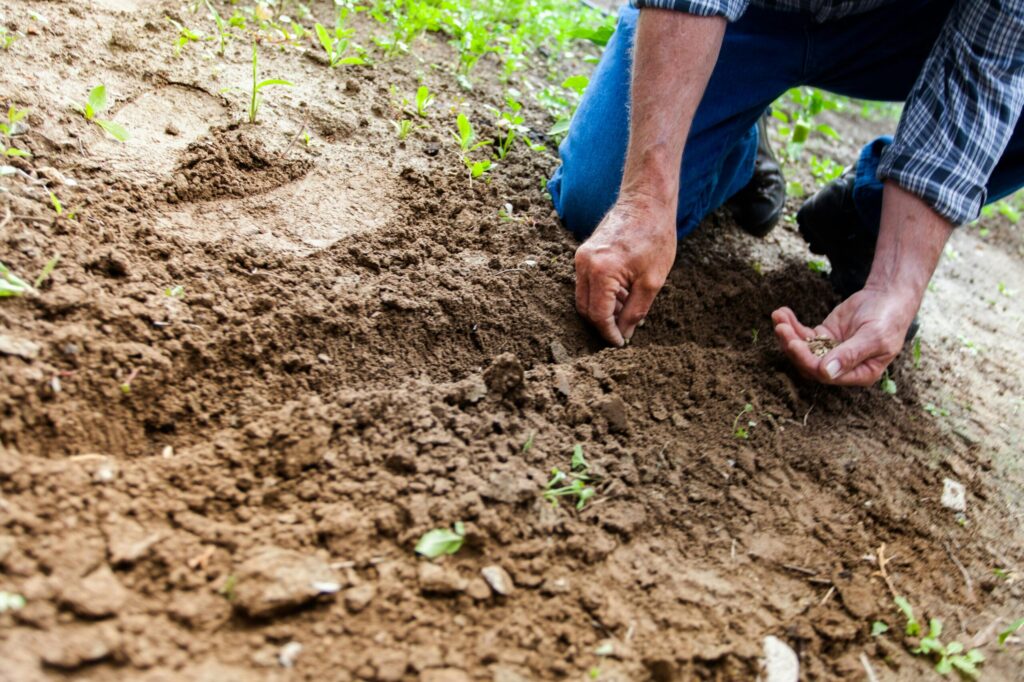 Garden Soil 2