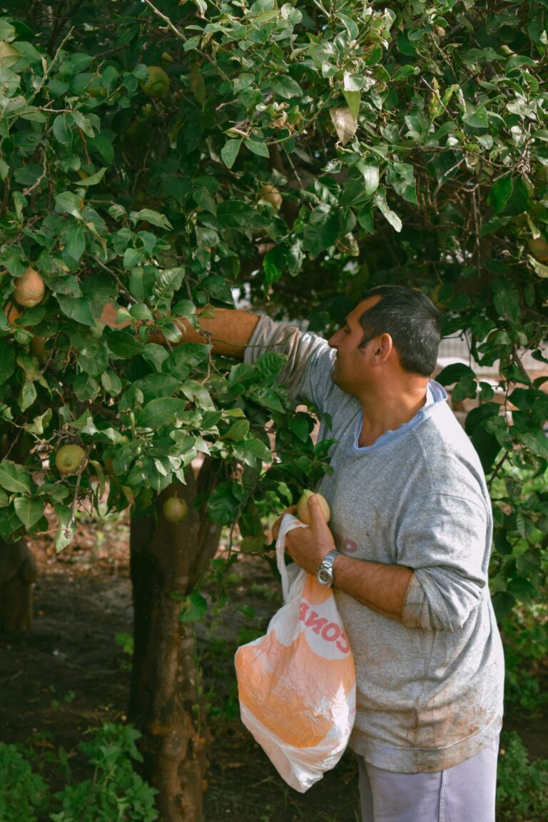 a man with fruits