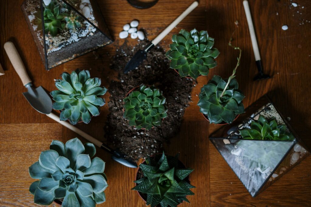 indoors gardening