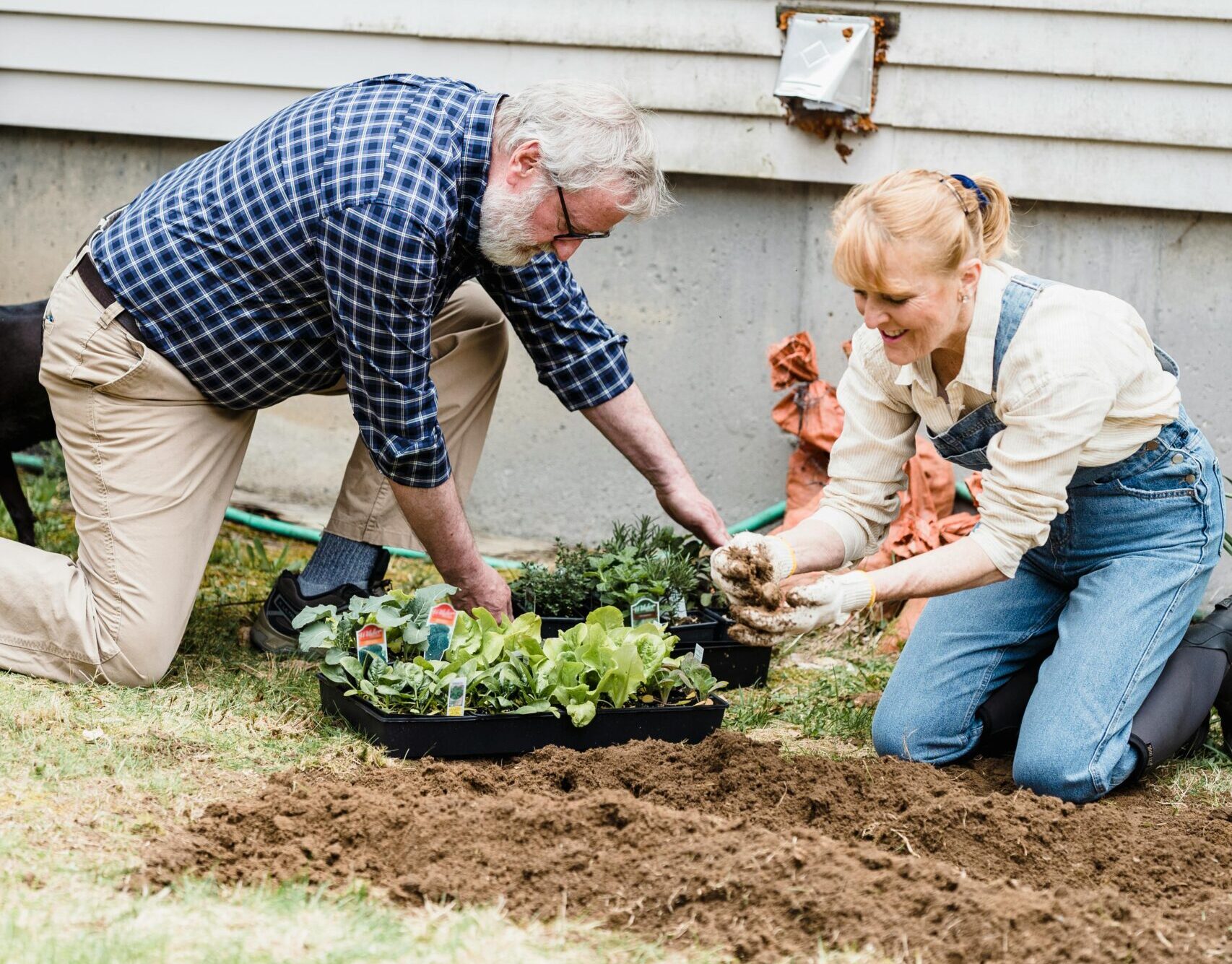 garden soil with man