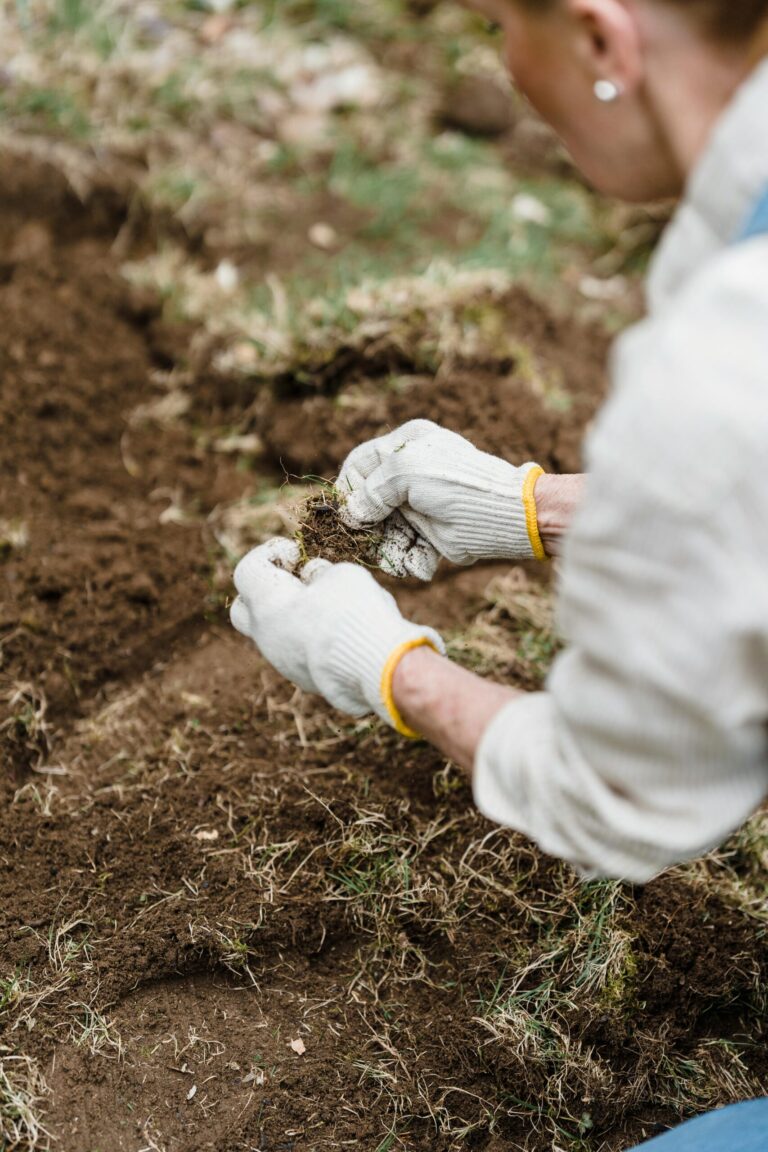 garden soil1