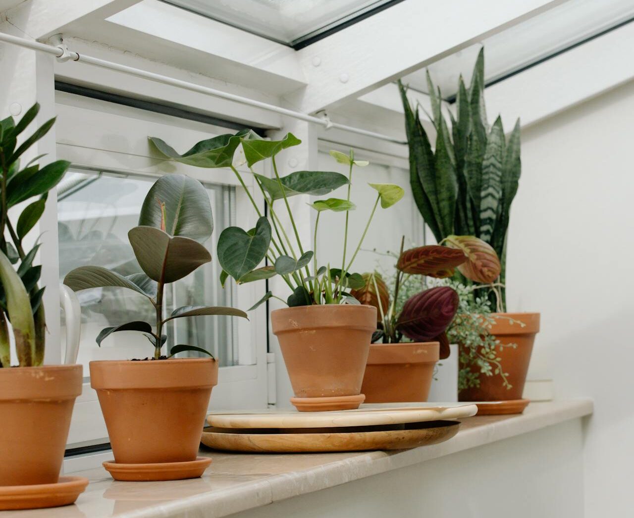 Bring the Outdoors In: Indoor Gardening Tips